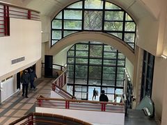 -香港大学