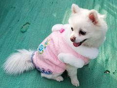 -乐宠宠物店(世纪金源店)