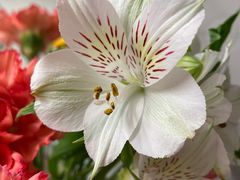 -BHG生活超市(安贞店)