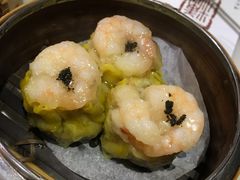 -糖朝(尖沙咀店)