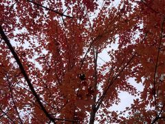 -辽宁大学(崇山校区)