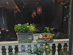 -野菌皇海景野生菌火锅(滨海大道店)