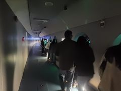 -白鹤梁水下博物馆