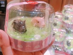 -85度C(厦门中华城新店)