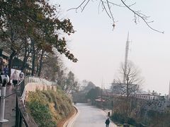 -MAMACHA妈妈茶(岳麓山店)