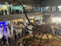 -自贡恐龙博物馆
