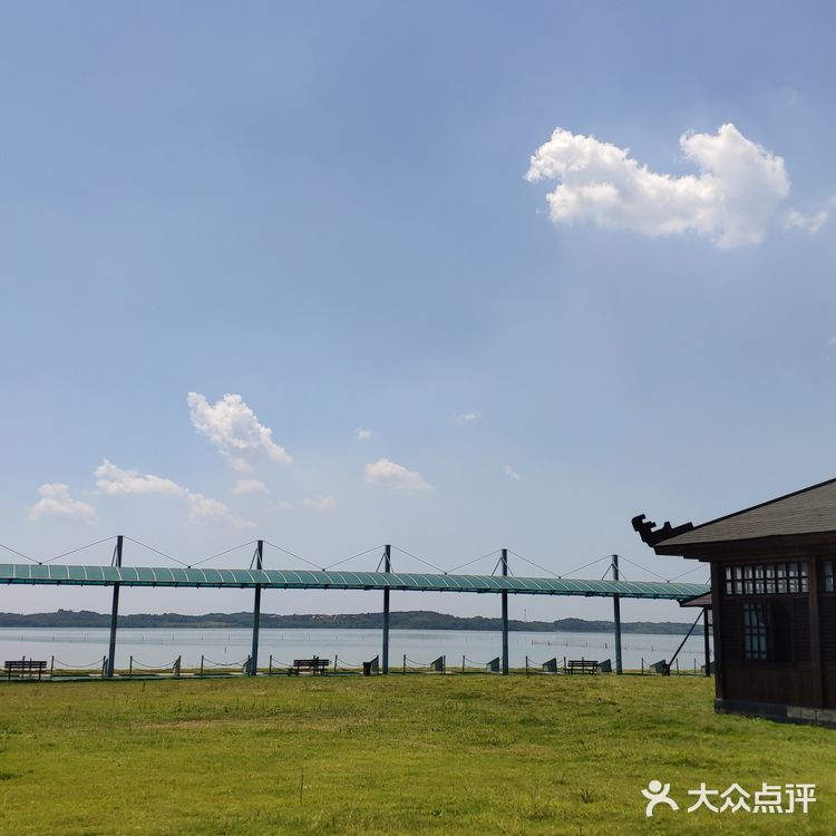 探店梁子湖龙湾度假村|小马代不是谁都可以叫的