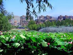 -前关湿地公园