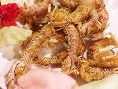 -海鲜城大家餐厅
