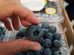 -上海龙吴水胜海发市场