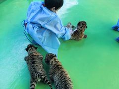 -栾川竹海野生动物园