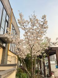 -乐茵敔山湾月子中心(独栋湖景店)