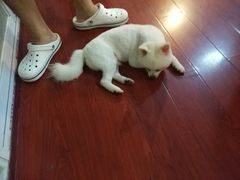 -零几体验diy皮具工作室(振业城店)