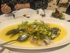 -南麓·浙里(外滩店)
