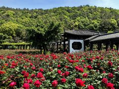 -龙寺生态园