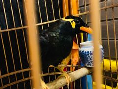 -到家尝北京菜(西坝河店)