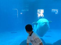 -海合安成都极地海洋公园