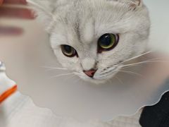 -达爱动物医院·犬猫分区·CT·复杂眼科(远洋山水分院)
