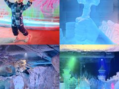-海合安成都极地海洋公园