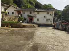 -雁南飞茶田景区