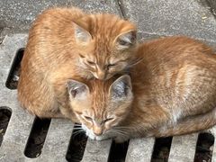 -晓港公园
