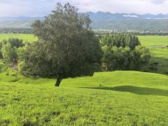 -新疆那拉提国家旅游度假区