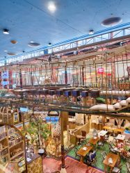 -卡通尼·Safari非洲探索乐园·生日会(金桥国际商业广场店)