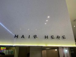 -HAIR HERE造型