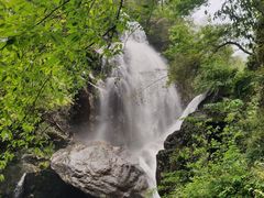 -大围山国家森林公园