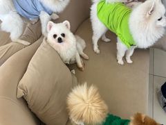 -怪兽屋·羊驼·猫咖·狗咖(俊华广场店)