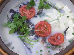 -全乐鱼馆·淳牌有机鱼直营店
