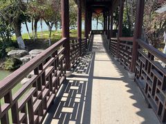 -八大山人梅湖景区