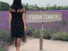 -金城大酒店-中餐厅(汾江中路店)