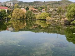 -清雅臻品·竹林院落·新派青岛菜(崂山店)