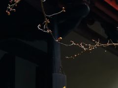 -白鹿洞书院