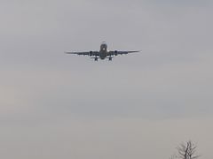 -空港花田景区