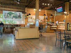 -DOI CHAANG Caffè Maesuai