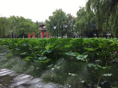 -四川大学(望江校区)