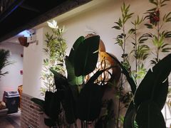 -大鸽饭(岗顶店)