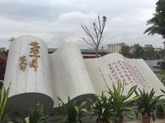 -宝安西湾红树林湿地公园