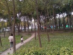-嘉北郊野公园北游客中心-地上停车场
