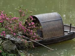-秀丽东方