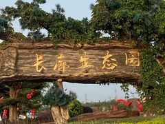-长廊欢乐园