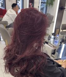 -上禾 HAIR SALON