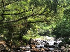 -广州市石门国家森林公园