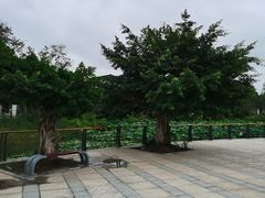 -三圣花乡旅游区