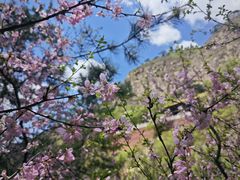 -北岳恒山