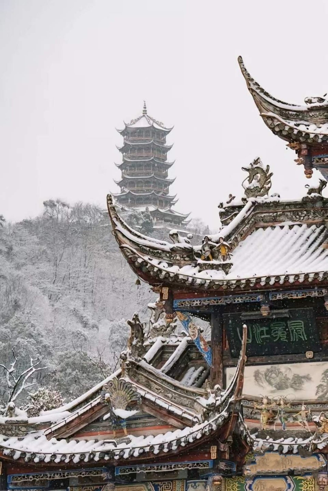 雪后的青城山,无论是前山还是后山,都有各自独特的风景