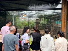 -海南热带野生动植物园