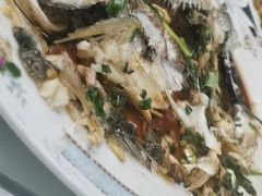 -新陶陶酒家